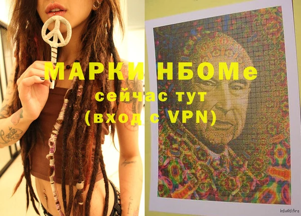 дурь Бородино