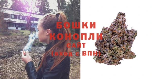 дурь Бородино