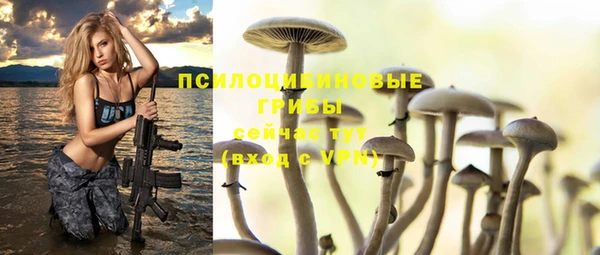 дурь Бородино