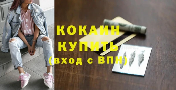 дурь Бородино