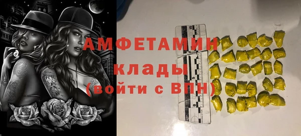 дурь Бородино